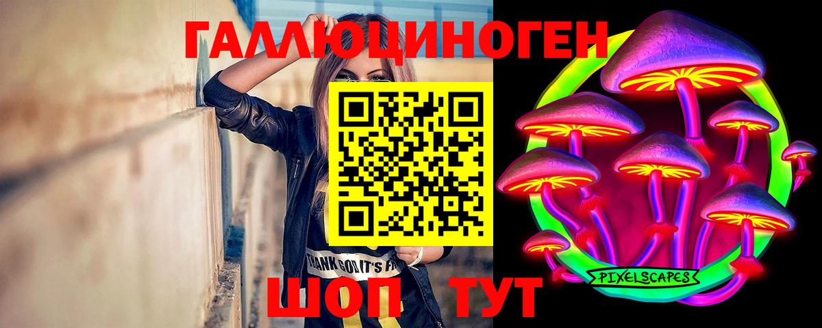 где можно купить   Вход с VPN  Борисоглебск  Галлюциногенные грибы MAGIC MUSHROOMS  Галлюциногенные грибы Cubensis 