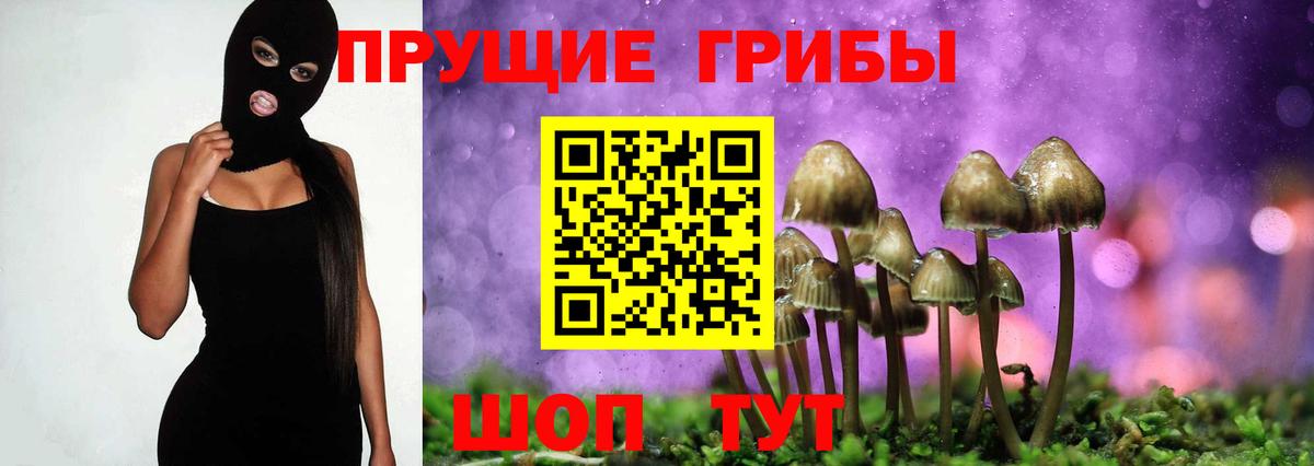 Псилоцибиновые грибы ЛСД Борисоглебск